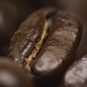 Coffee Talk | Sudbury Coffee Works