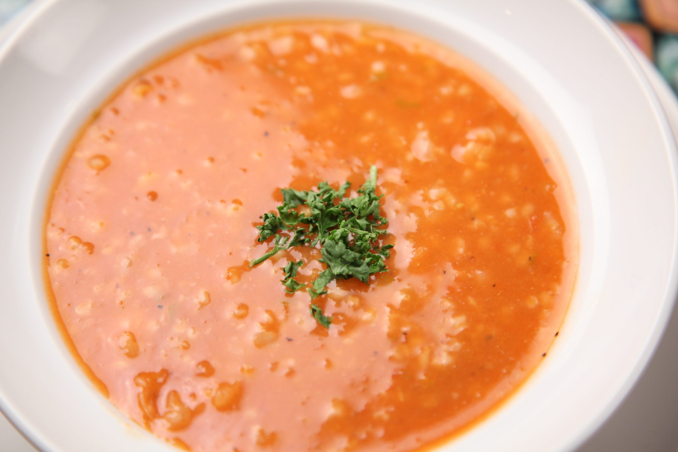 soup in bowl